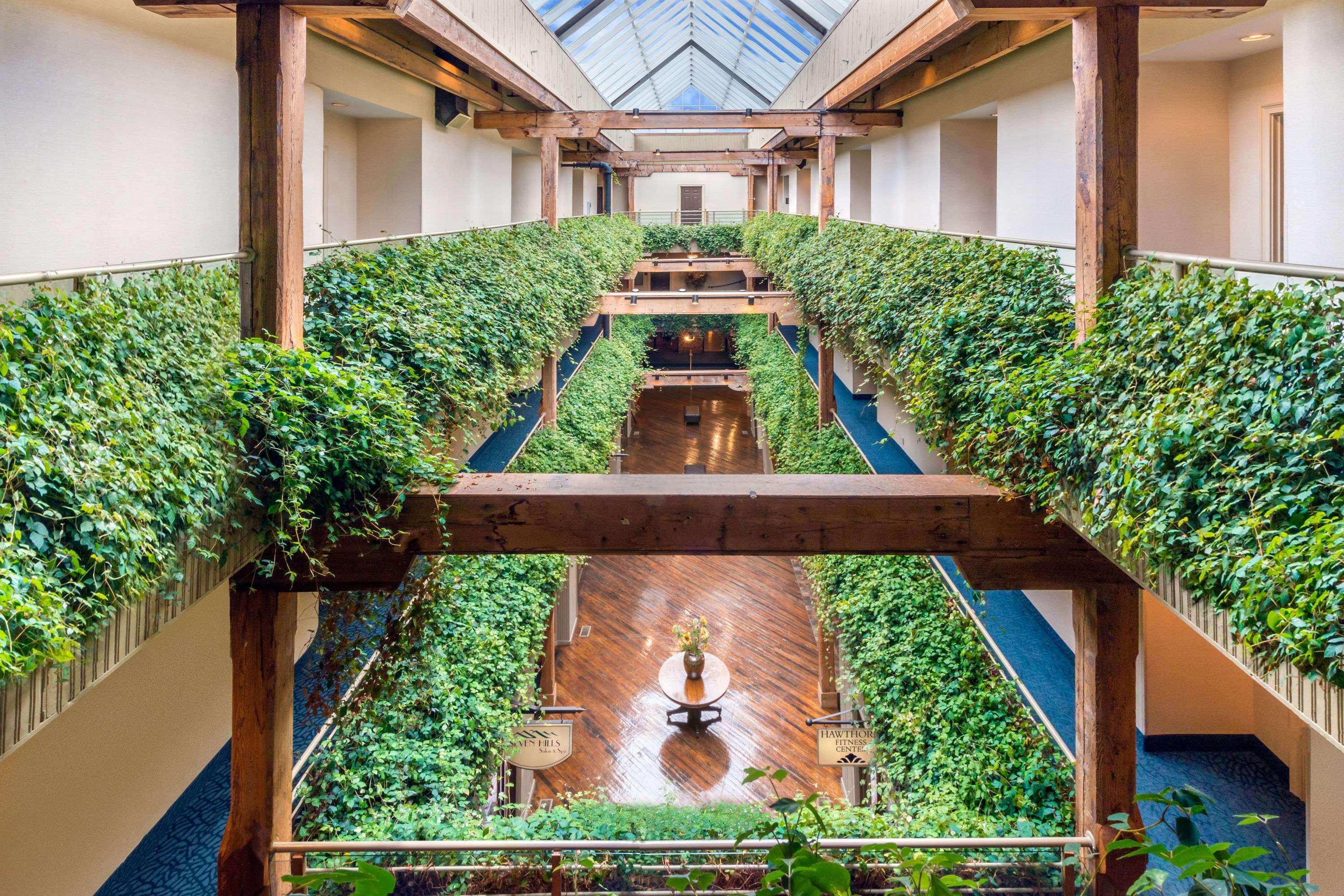 Hotel Hawthorn Extended By Wyndham 3*